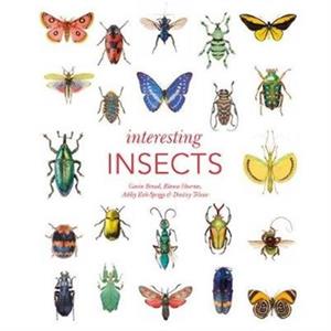 Interesting Insects by Blanca Huertas