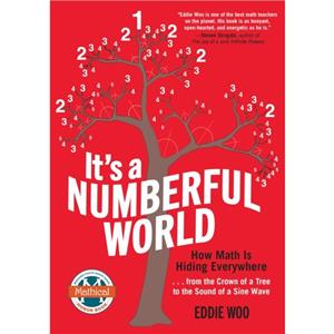 Its a Numberful World  How Math Is Hiding Everywhere by Eddie Woo