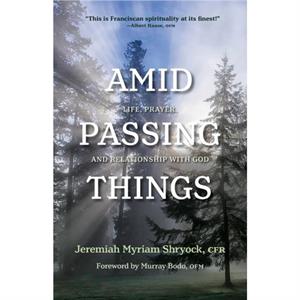 Amid Passing Things by Jeremiah Shryock