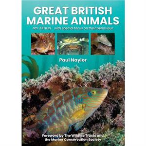 Great British Marine Animals by Paul Naylor