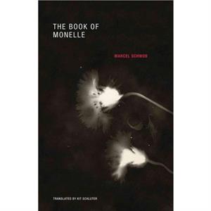 The Book of Monelle by Marcel Schwob