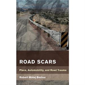 Road Scars by Robert Matej Bednar