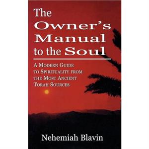 The Owners Manual to the Soul by Nehemiah Blavin