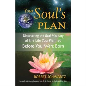 Your Souls Plan by Robert Schwartz