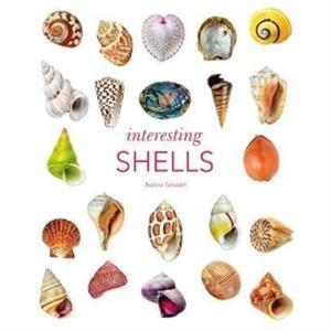 Interesting Shells by Andreia Salvador