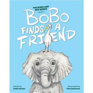 BoBo Finds a Friend by Tina Salvesen