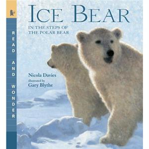 Ice Bear  Read and Wonder In the Steps of the Polar Bear by Nicola Davies & Illustrated by Gary Blythe