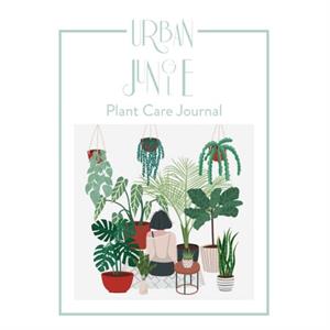 Urban Jungle by Anna Minguet