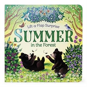 Summer in the Forest by Rusty Finch & Illustrated by Katya Longhi & Edited by Cottage Door Press