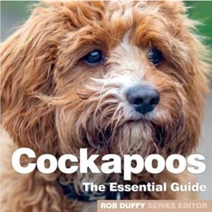 Cockerpoos by Robert Duffy