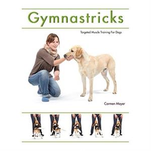 Gymnastricks by Carmen Meyer