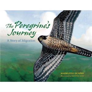 The Peregrines Journey by Madeleine Dunphy