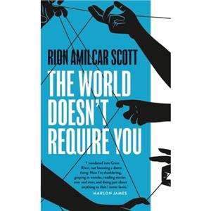 The World Doesnt Require You by Rion Amilcar Scott