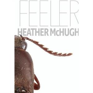 Feeler by Heather McHugh