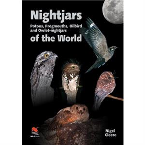 Nightjars Potoos Frogmouths Oilbird and Owletnightjars of the World by Nigel Cleere