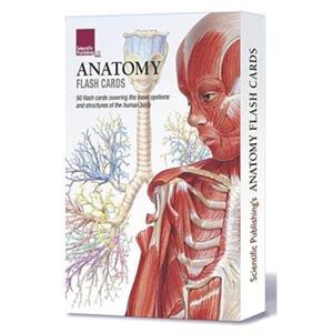 Anatomy Flash Cards by Scientific Publishing