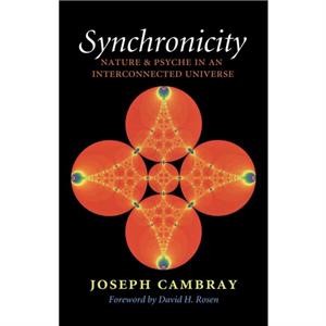 Synchronicity Nature and Psyche in an Interconnected Universe by Joseph Cambray