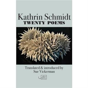 Twenty Poems by Kathrin Schmidt