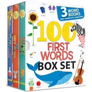 100 First Words Box Set  3 Word Books That Stimulate Language US Edition by Anne Paradis & Illustrated by Annie Sechao