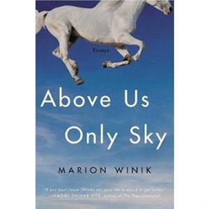 Above Us Only Sky by Marion Winik