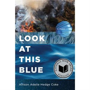 Look at This Blue by Allison Adelle Hedge Coke