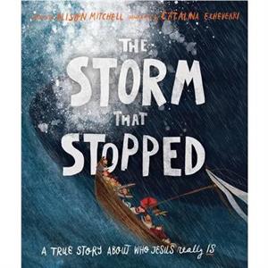 The Storm That Stopped Storybook by Alison Mitchell