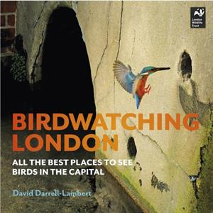 Birdwatching London by David DarrellLambert