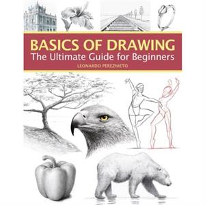 Basics of Drawing by Leonardo Pereznieto