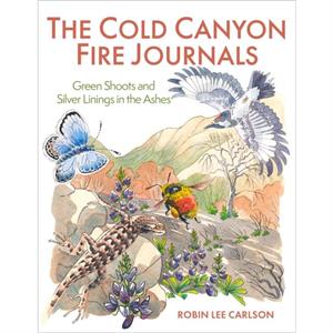 The Cold Canyon Fire Journals by Robin Lee Carlson