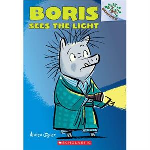 Boris Sees the Light A Branches Book Boris 4 by Andrew Joyner