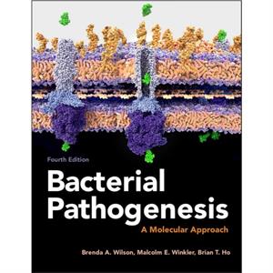 Bacterial Pathogenesis by Ho & Brian T. University of London & London & UK