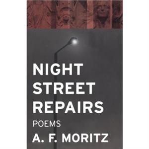 Night Street Repairs by A.F. Moritz