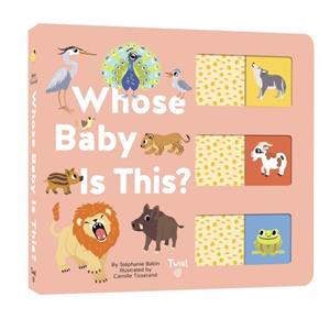 Whose Baby is This by Stephanie Babin