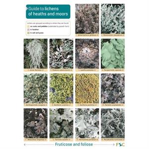 Guide to Lichens of Heaths and Moors by Frank Dobson