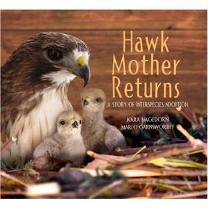 Hawk Mother Returns by Marlo Garnsworthy