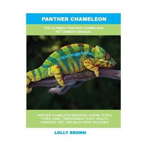 Panther Chameleon by Lolly Brown