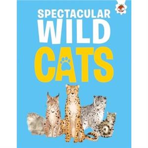 Spectacular Wild Cats by Eliza Jeffrey