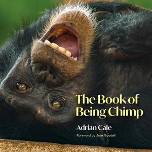 The Book of Being Chimp by Adrian Cale