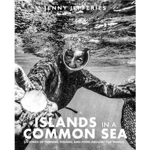 Islands In A Common Sea by Jenny Jefferies