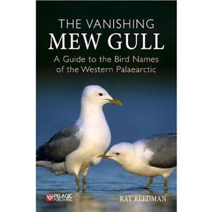 The Vanishing Mew Gull by Ray Reedman